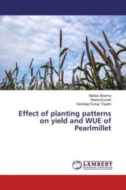 Effect of planting patterns on yield and WUE of Pearlmillet