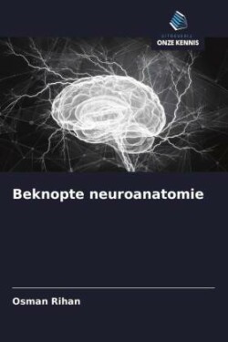 Beknopte neuroanatomie