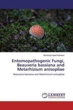 Entomopathogenic Fungi, Beauveria bassiana and Metarhizium anisopliae