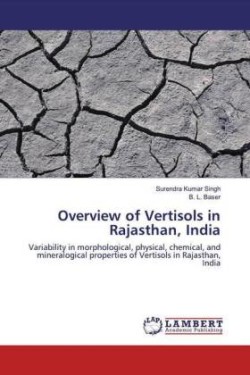 Overview of Vertisols in Rajasthan, India