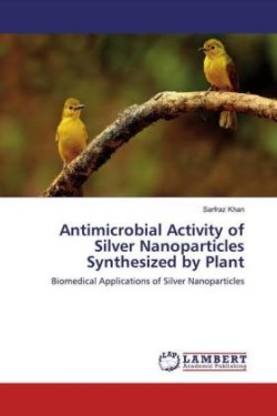 Antimicrobial Activity of Silver Nanoparticles Synthesized by Plant