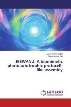 JEEWANU: A biomimetic photoautotrophic protocell-like assembly