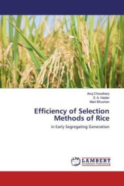 Efficiency of Selection Methods of Rice