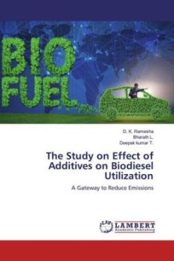 Study on Effect of Additives on Biodiesel Utilization