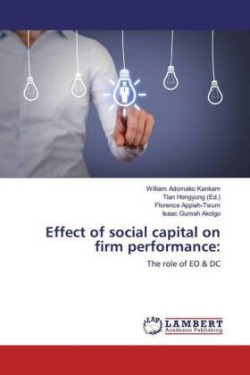 Effect of social capital on firm performance