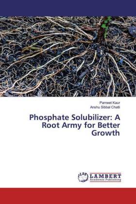 Phosphate Solubilizer