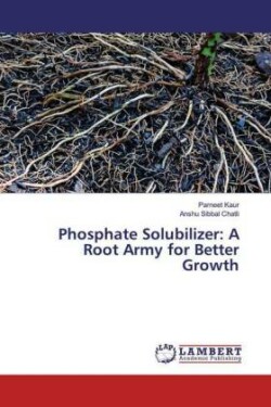 Phosphate Solubilizer