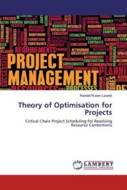 Theory of Optimisation for Projects
