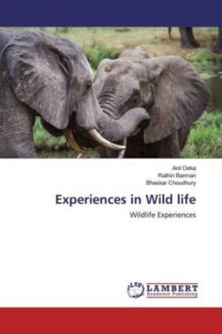 Experiences in Wild life