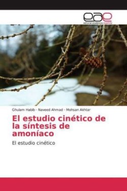 El estudio cinético de la síntesis de amoníaco