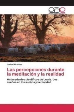 percepciones durante la meditación y la realidad