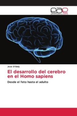 desarrollo del cerebro en el Homo sapiens