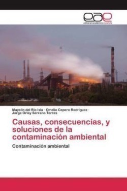 Causas, consecuencias, y soluciones de la contaminación ambiental