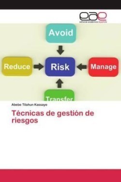 Técnicas de gestión de riesgos