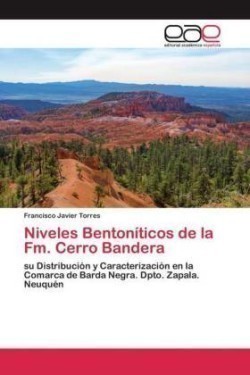 Niveles Bentoníticos de la Fm. Cerro Bandera