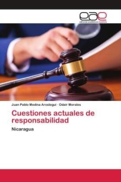 Cuestiones actuales de responsabilidad