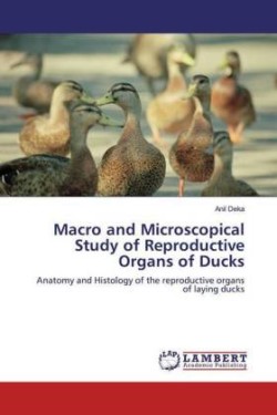 Macro and Microscopical Study of Reproductive Organs of Ducks