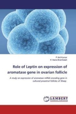 Role of Leptin on expression of aromatase gene in ovarian follicle