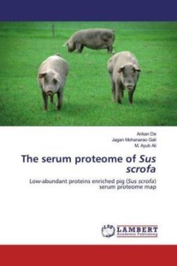 serum proteome of Sus scrofa