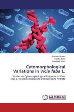 Cytomorphological Variations in Vicia faba L.