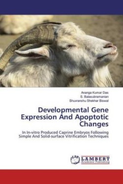 Developmental Gene Expression And Apoptotic Changes