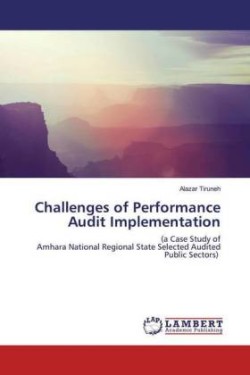 Challenges of Performance Audit Implementation