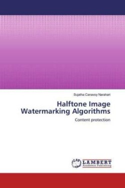 Halftone Image Watermarking Algorithms