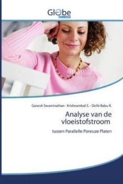 Analyse van de vloeistofstroom