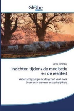 Inzichten tijdens de meditatie en de realiteit