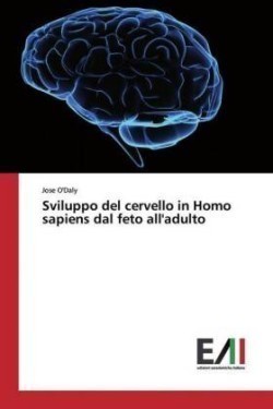 Sviluppo del cervello in Homo sapiens dal feto all'adulto