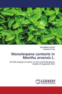 Monoterpene contents in Mentha arvensis L.