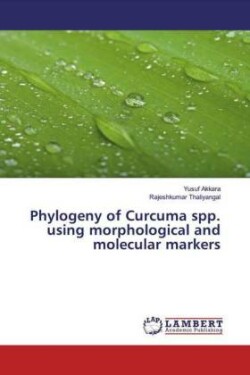 Phylogeny of Curcuma spp. using morphological and molecular markers