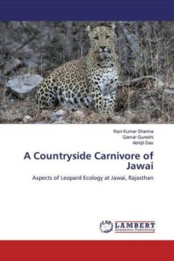 A Countryside Carnivore of Jawai