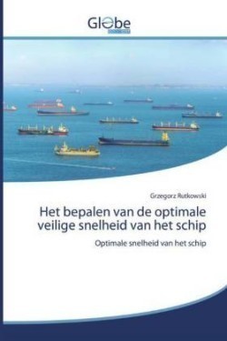 Het bepalen van de optimale veilige snelheid van het schip