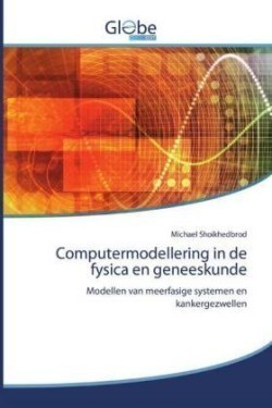 Computermodellering in de fysica en geneeskunde