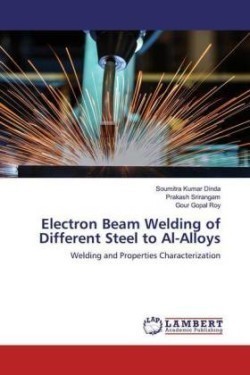 Electron Beam Welding of Different Steel to Al-Alloys