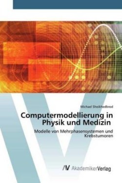 Computermodellierung in Physik und Medizin