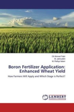 Boron Fertilizer Application: Enhanced Wheat Yield