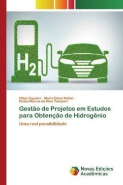 Gestão de Projetos em Estudos para Obtenção de Hidrogênio