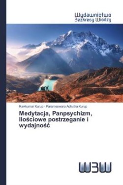 Medytacja, Panpsychizm, Ilościowe postrzeganie i wydajnośc