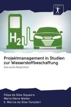 Projektmanagement in Studien zur Wasserstoffbeschaffung