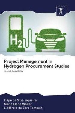 Project Management in Hydrogen Procurement Studies