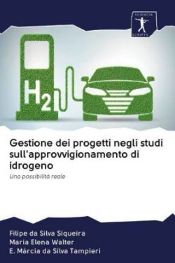 Gestione dei progetti negli studi sull'approvvigionamento di idrogeno