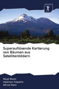 Superauflösende Kartierung von Bäumen aus Satellitenbildern