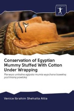 Conservation of Egyptian Mummy Stuffed With Cotton Under Wrapping