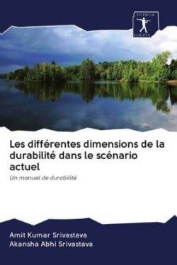 Les différentes dimensions de la durabilité dans le scénario actuel