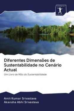 Diferentes Dimensões de Sustentabilidade no Cenário Actual