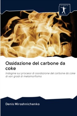 Ossidazione del carbone da coke