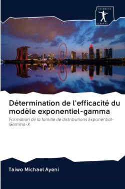 Détermination de l'efficacité du modèle exponentiel-gamma