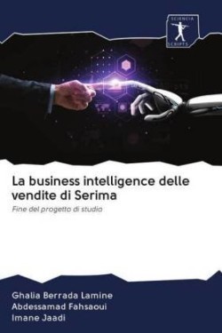 business intelligence delle vendite di Serima